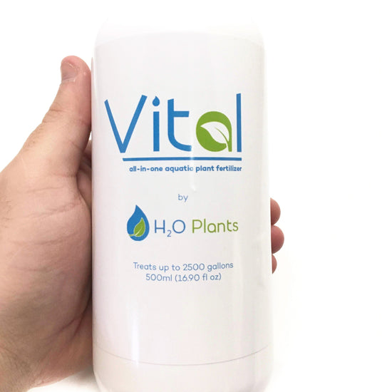 Vital - Plant Fertilizer (All-in-One)